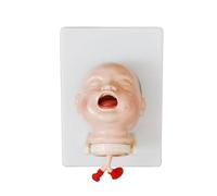 Human Model Infant Tracheal Intubation Model During Neonatal For Midwifery Medical Human Anatomy