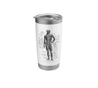 Human Muscle Anatomy Design Gift Idea Stainless Steel Insulated Tumbler