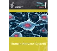 Human Nervous System - School Movie on Biology