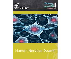 Human Nervous System - School Movie on Biology