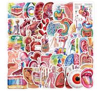 Human Organ Anatomy Stickers Pack for Medical Students Science Lovers, 50PCS Waterproof Vinyl Decals for Doctors, Nurses, Biology and Science Classroom Decoration