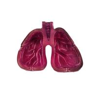 Human Organ Body Art Lung Shape Resin Ashtray