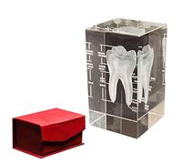 Human Organ Crystal Anatomy Model - Brain Heart Lung Skeleton Tooth - K9 Glass Science Educational Paperweight(Tooth)