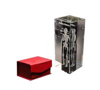 Human Organ Crystal Anatomy Model - Brain Heart Lung Skeleton Tooth - K9 Glass Science Educational Paperweight(Skeleton)