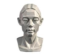 Human organ model, A,11cm, Double Sided Person Model Human Skull Muscles Model for Art Students Skull Resin s s