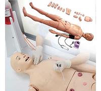Human Patient Manikin Simulator for Nursing Training - Realistic Male and Female Anatomical Model with Blood Pressure Measurement - Life Size Full Body
