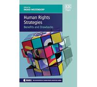 Human Rights Strategies: Benefits and Drawbacks (The Association of Human Rights Institutes series)