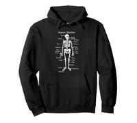 Human Skeleton Anatomy Chart Biology Science Diagram Pullover Hoodie