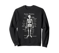 Human Skeleton Anatomy Chart Biology Science Diagram Sweatshirt