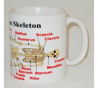 Human Skeleton Diagram Ceramic Mug Great Funny Biology Humanity Gift