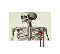 Human Skeleton Placemats Set of 6,Table Mat
