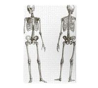 Human Skeleton Printed Wooden Puzzle 1000 Piece, Cute Puzzle Game in Plastic Box for Family Entertainment and Brain Training Gifts