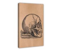 Human Skull Anatomy Canvas Poster Bedroom Decor Landscape Office Room Decor Gift 08x12inch(20x30cm)