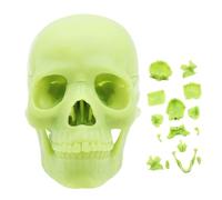 Human Skull Model - 22 Cm Anatomical Model | 15Pcs Detachable Anatomy, Life Size Educational Head Structure For Medical Study Teaching Classroom Learning Demonstration