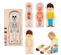 Human Structure Puzzle - Layered Figure Board, Body Part Matching, Cognitive Skill Development, Fine Motor Practice | hands on human form discovery for visual reasoning comprehension focus clarity