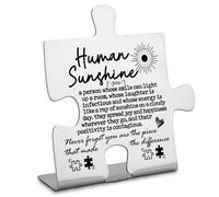 Human Sunshine gifts for Women, Appreciation Gifts for Teacher Friends Coworkers Doctor Nurse, Inspirational Quotes Gift for Mom Aunt Sister Daughter, Human Sunshine Decorative Signs-DX256