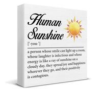 Human Sunshine Gifts,Inspirational Gifts for Women Men,Gifts for Coworker Leader Boss Teacher Mentor Coach,Human Sunshine Definition Wood Sign Home Office Desk Shelf Table Decor 5x5 Inch