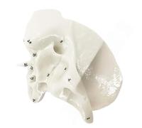 Human Temporal Bone Model Skeleton Sphenoid Anatomical Easy to Use Medicals Teaching Aid Human Skeleton Anatomy Sphenoid Ethmoid Bone School Teaching Tool
