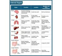 Human Viscera and Vascular System Anatomy Poster - Medical Teaching Tool for Classroom and Clinical Settings - Laminated Educational Wall Chart(Framed,12x18inch(30x45cm))