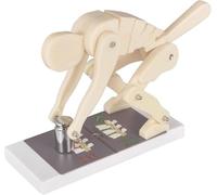 Human Weight Lifting Spine Force Model, Lumbar Spine Protection & Correct Posture Teaching Tool Demonstration Teaching Model, For Educational Use(White)