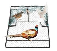 Humane Pigeon Trap,Bird Trap for Quail,Turkey,Net Traps (15.7x19.7 inch)