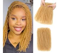 Humistwbiu Afro Kinkys Bulk Human Hair for Dreadlocks Extensions 30g/Pack Repair Locs/Twists/Braids 4C Afro Kinky Curly Human Hair Honey Blonde 14 Inch 27#