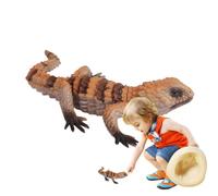 Humkopnl Lizard Toys Reusable Science Educational Props Early Teaching