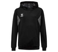 Hummel Authentic Pl Hoodie