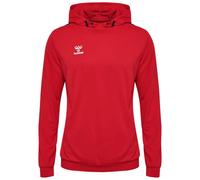 Hummel Authentic Pl Hoodie