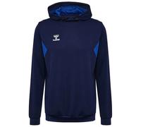 Hummel Authentic Pl Hoodie