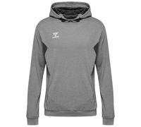 Hummel Authentic Pl Hoodie