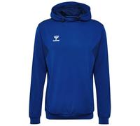 Hummel Authentic Pl Hoodie