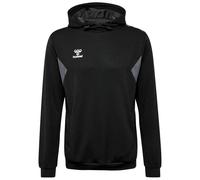 Hummel Authentic Pl Hoodie