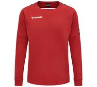 Hummel Authentic Training Sweatshirt