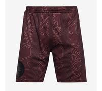 Hummel Denmark 2024 x Halo Short