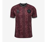 Hummel Denmark 2024 x Halo SS Shirt