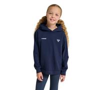 Hummel Graphic Hoodie