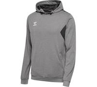Hummel Authentic Pl Hoodie Grey M Man