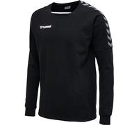 hummel Hmlauthentic Men's Raglan Sleeve Sweatshirt Black/White