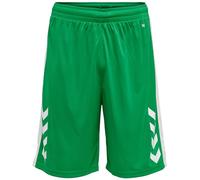 hummel Men's Hmlcore Xk Basket Shorts, Jelly Bean, XXL