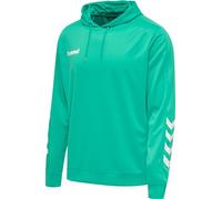 hummel Men's Hmlpromo Poly Hoodie Sweatshirt