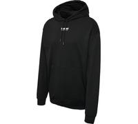 Hummel Lgc Nate Hoodie Brown S Men