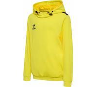 Hummel Kinder Sweatshirts & hoodies Hmlauthentic Pl Hoodie Kids
