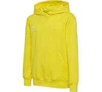 Hummel Kinder Sweatshirts & hoodies Hmlgo 2.0 Hoodie Kids