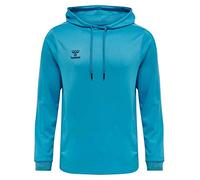 hummel Mens Cr Xk Sweater Hoodie Blue Danube XL