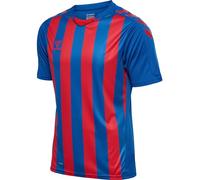 hummel Men's Hmlcore Xk Striped Jersey S/S T-Shirt, True Blue/True Red, L