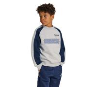 Hummel Oversized Iconic Crew Bees Sweatshirt