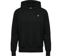 Hummel Pulse Hoodie Blue S Men