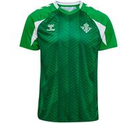 Hummel Real Betis Balompie 26/27 Pre Match Short Sleeve T-shirt