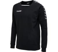 Hummel Sweatshirt Hmlauthentic Training Sweat